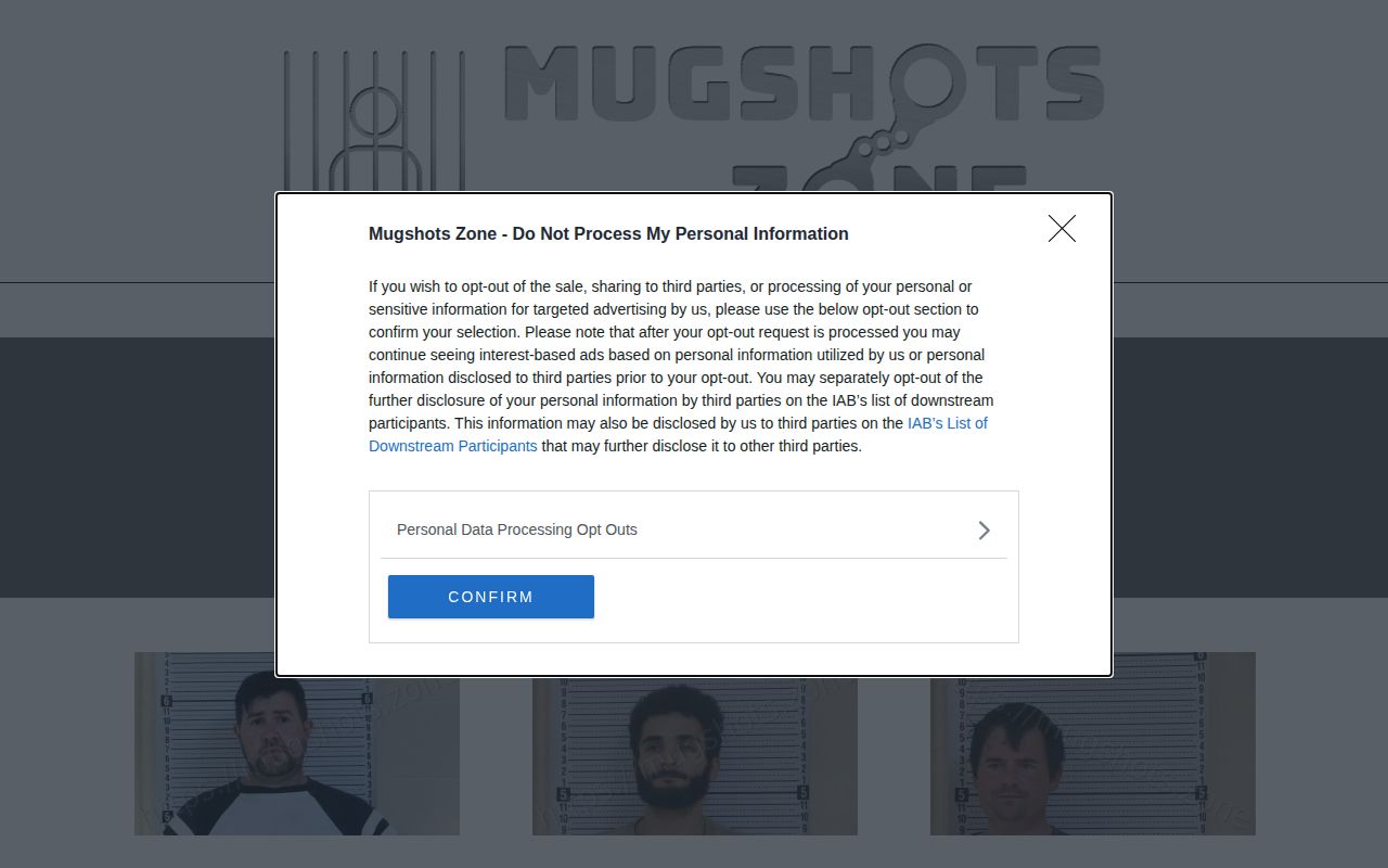 Unofficial Taylor County multi-day arrest archive interface